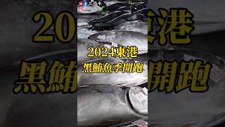 東港黑鮪魚重磅登場！超壯觀鮪魚海 、實在太震撼啦  Bluefin tuna season   #黑鮪魚#東港#魚市場#生魚片#三歲半