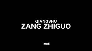 臧治国 (武术枪术) Zang Zhi Guo Qiang Shu Japón año 1985