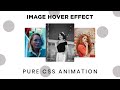 Awesome Image Hover with CSS Scale Effect