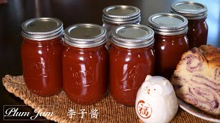 Plum Jam|How to Make Easy and Quick Plum Jam|李子酱|好煮意GoodCookingIdeas