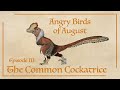 Angry Birds of August Episode III: The Common Cockatrice