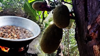 பலா மூஸ் கறி விருந்து ருசியான முறையில் | jackfruit recipe