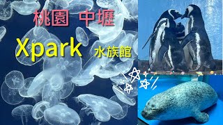 2023 -8 桃園市中壢區 Xpark水族館🐟為台灣首座新都會型的水生公園門票$550