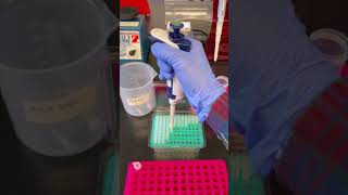 Ever wondered how to use a micropipette?
