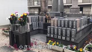 【神戸市】【灘区】法泉寺永代供養墓