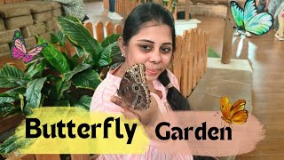 Dubai Butterfly Garden 🦋 | explore with @thanurao7990