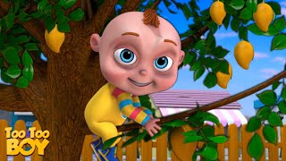 Mango Tango Episode | Cartoon Animation For Children | Videogyan Kids Shows | TooToo Boy