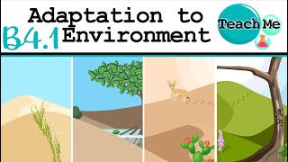 (B4.1) - Adaptation to environment - IB Biology (SL/HL)