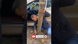 Hilarious TikTok Fails Compilation  Funny Facts and Fails #funnyvideo #funnyfacts #osthirbengali