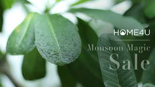 Monsoon Magic Sale August 2022