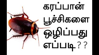 How to Kill cockroaches in Tamil | | கரப்பான் பூச்சி ஒழிப்பது எப்படி? | Karappan Poochi Olika Tips