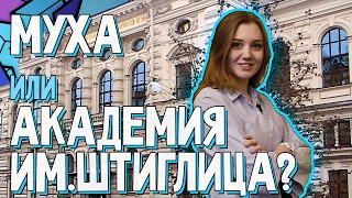 Штиглица. Вперёд за высшим!   1 выпуск