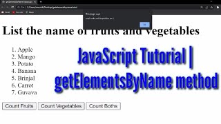 JavaScript Tutorial | getElementsByName() method