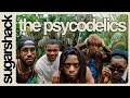 The Psycodelics - Full Set (Live Music) | Sugarshack Sessions
