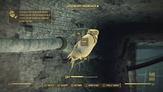 Giant Radroach