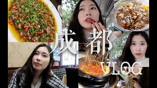 成都之行Vlog |只有当地人知道的爆炸好吃美食餐厅 | 垮掉的即兴唱歌 | 第一只Vlog