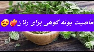 خاصیت پونه کوهی برای زنان😍❤️‍🔥