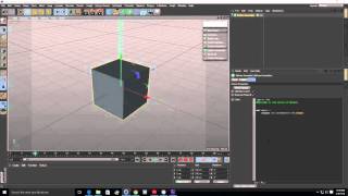 01 Intro To Python In C4D Final