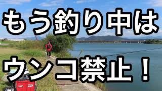 鯉の紀州釣り・紀ノ川【後編】これぞ爆臭ダンゴの威力、入れ喰いにもほどがある、でも鯉っ子です