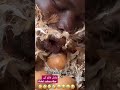 لحظه بیرون اومدن تخم مرغ 🥚🪺🐔 youtubeshorts shorts funny