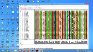 Multiple Sequence alignment 2