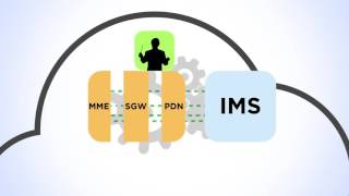 Network Functions Virtualization Video