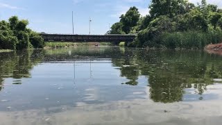 City of Hamilton pleads guilty to charges over Chedoke Creek sewage spill