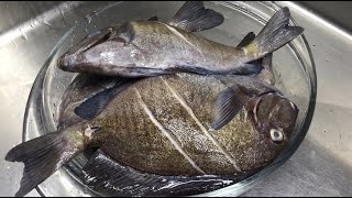 The Best steamed 🐠 Fish you will EVER! make (Dr Fish) ASMR no Talking No music #cooking #Healthy