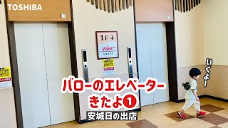 【257日目】バロー安城日の出店のエレベーター（東芝製）