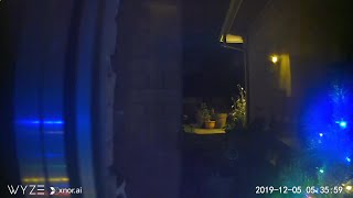 Meteor video from doorbell camera
