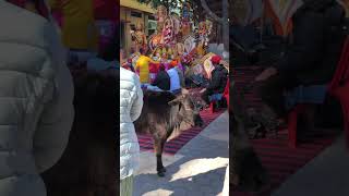 #jaimatadi Girija mata mandir 🙏🏼🕉️in uttarakhand ramnagar🙏🏼