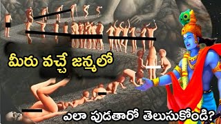 గరుడ పురాణం: ఏ పాపం చేసిన వాళ్ళు ఎలాంటి జన్మ ఎత్తుతారో చూడండి