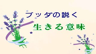 【初級】ブッダの説く生きる意味