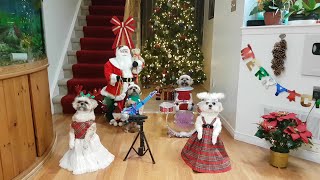 Bốn bé ca hát nhảy đầm ăn mừng Giáng Sinh 2022||4 babies singing\u0026dancing to celebrate Christmas 2022