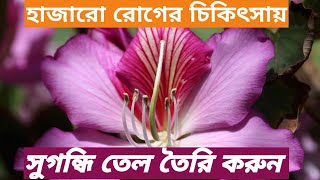 হাজারো রোগের চিকিৎসায় সুগন্ধি তেল তৈরি করার পদ্ধতি শিখুন || Aroma Therapy ||