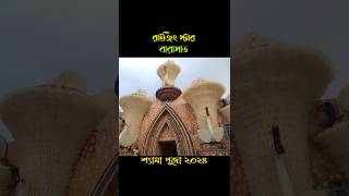 বারাসাত রাইজিং স্টার। Barasat Kali puja #shorts #kalipuja2024