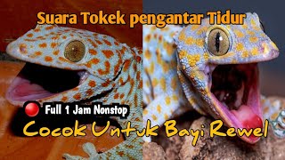 Suara Tokek  Seram Pengantar Bayi Susah Tidur Full 1 jam , the sound of a big Spooky Gecko in Bed #4