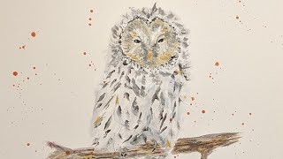 Ural owl acrylic painting on paper time lapse