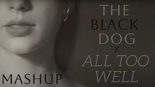 Taylor Swift l The Black Dog x All Too Well (Taylor's Version) l MASHUP l