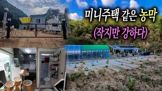 ★경북땅김소장★[매번825번] 미니주택 같은 농막과농지/작지만 강하다