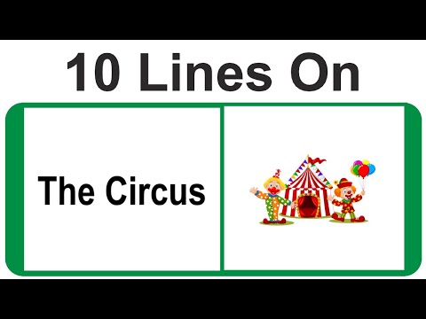 What is a good sentence for circus?
