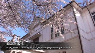 旧四郷村役場の桜 2011年4月12日