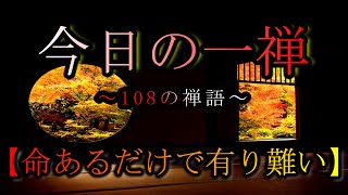 【今日の一禅】　「風吹不動天辺月」　~108の禅語~