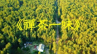 古琴簫《禪茶一味》好聽的純音樂加長完整版，平和氣血，禪意養生 | 心靈音樂 | 冥想音樂 | 舒緩助眠音樂 | 禪修音樂 | 佛教音樂 | 平靜心情