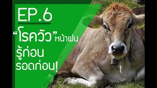 EP.6 โรควัวหน้าฝน รู้ก่อน รอดก่อน! #โรควัว #FMD #คอบวม #วัวท้องอืด