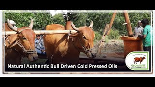 GoDesi Cold Pressed Oils - Bull Driven| Natural Chemical Free| Raw Oil