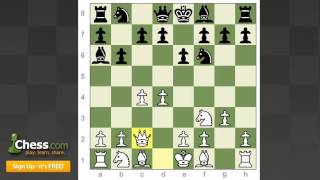 Chess Openings: How to Play the Queen's Indian!