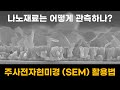 How to operate SEM [KAIST MSE]