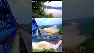 Maithon Dam Dhanbad Water Release | DVC Damodar Valley Corp. | Maithon Dam Status #dhanbad #asansol