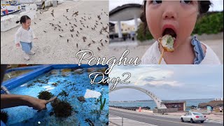 澎湖親子旅遊VLOGDay2-來澎湖十月風大的嚇人 竟然能與海洋生物近距離接觸！！還有麻雀追逐戲碼！！？？澎湖跨海大橋、仙人掌冰、風櫃洞